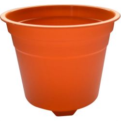 orange mousse cup